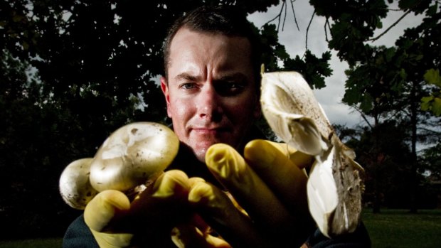 Tristan Adrian, of ACT City Services, displays a collection of death cap mushrooms.