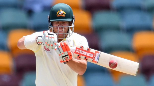 David Warner was in fine form in the second innings, finishing with 87 not out.