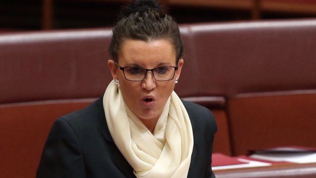 Senator Jacqui Lambie's bill, which is being formally drafted, says "a person must not, without reasonable excuse, wear a full face covering while in a public place".