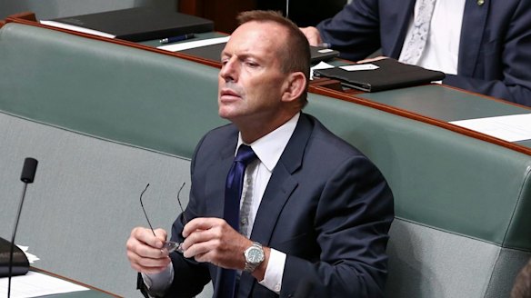 Former prime minister Tony Abbott denies being behind the leak.