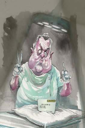 <i>Illustration: David Rowe.</i>