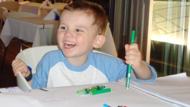A newly released image of missing boy William Tyrrell.