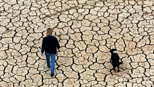 A resident walks along a drought-stricken Lake Eildon in 1998.