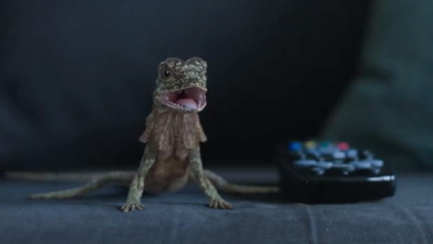 'Lenny the lizard' featured in a Telstra ad promoting 'unbeatable Wi-Fi'.