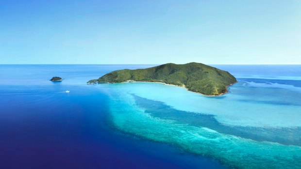 The injured tourist is recovering in hospital after the accident at Hayman Island