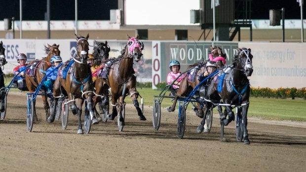 Sweet chariot: Lazarus wins the Chariots of Fire at Menangle.