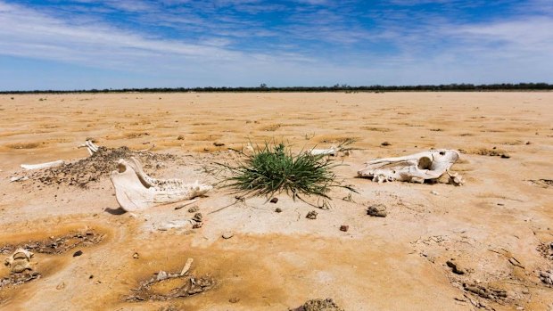 Queensland's Channel Country is a world of colour seen by too few eyes.