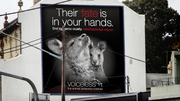 Another Voiceless billboard in Sydney.