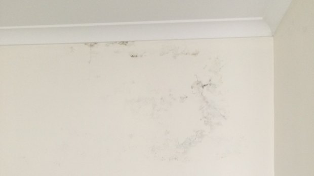 Mould in the kitchen, which developed in the first few weeks of Mr Gibson and his partner's lease.