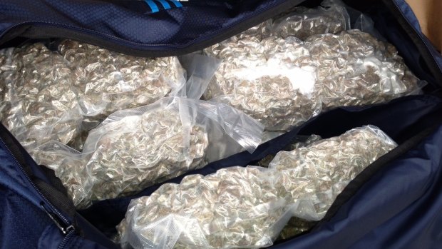 Significant amounts of drugs were seized in Operation North Crewel.