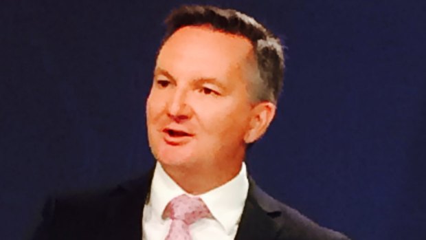 Federal shadow treasurer Chris Bowen said Australia's biggest city, where the average house price is more than $1.1 million, had an "affordability crisis" at a joint press conference with Luke Foley in Sydney. 