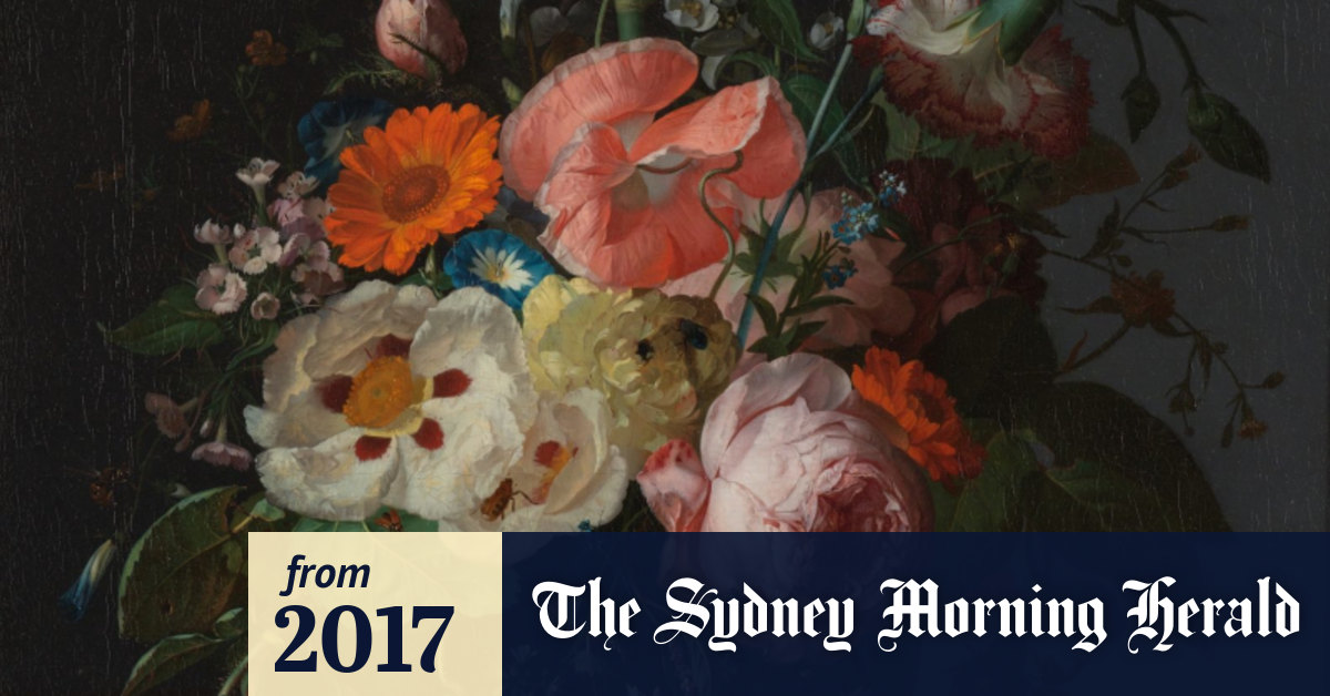 Rembrandt And The Dutch Golden Age What Flower Paintings Can Teach Us