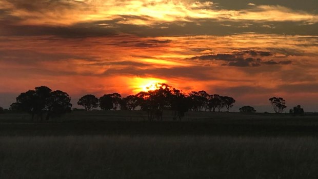 The sunset from Arnold, north-west of Bendigo, this weekend just gone. In these topsy-turvy times, a stunning summer dusk can come any month, it would seem.