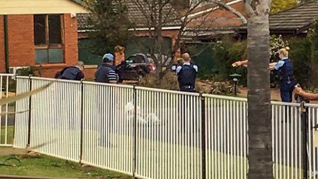 Armed police subdue Ihsas Khan after he allegedly stabbed Wayne Greenhalgh in Minto on Saturday.