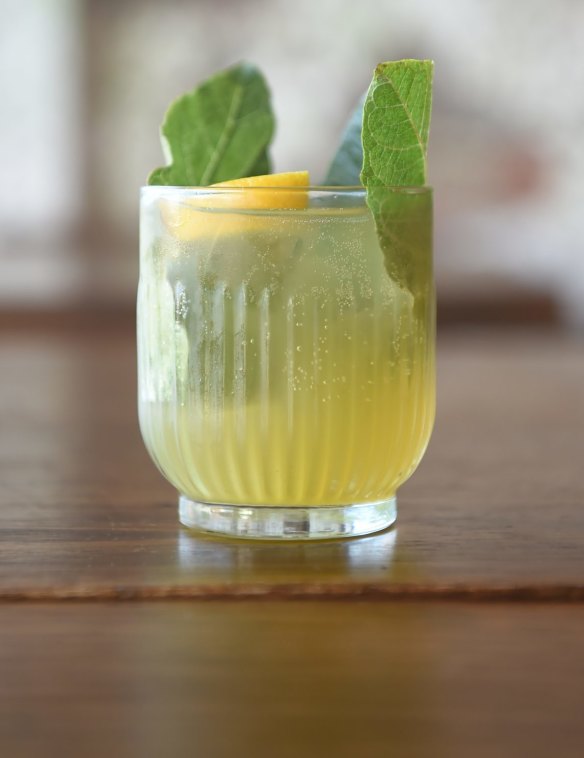 Fig leaf rebujito.