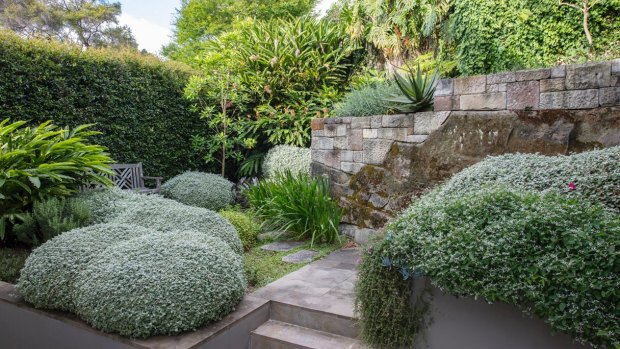 This Woollahra garden has a solitary, serene space.