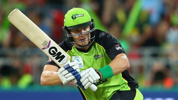 Top class: Shane Watson, of Sydney Thunder, is just one of the many stars playing in the Big Bash League.