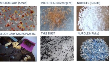 Just some of the microplastics that can be found in the world's oceans.