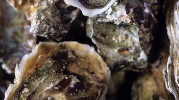 There are new uses for old oyster shells.