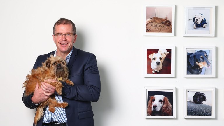 my pet warehouse online