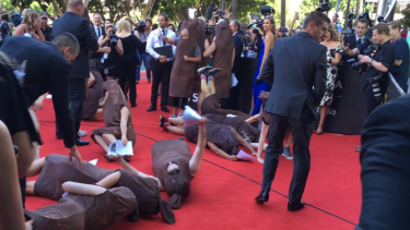 The red carpet sausage fest at the AACTAs. 
