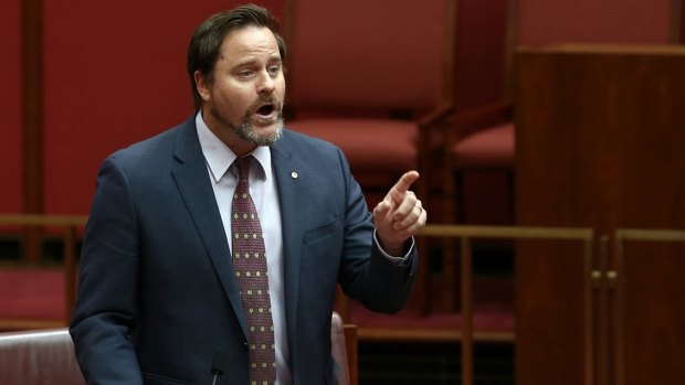 Greens Senator Peter Whish-Wilson fears inquiries could be junked.