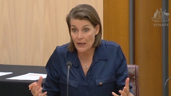 Perin Davey at estimates last week.