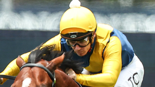 Golden Slipper favourite Storm Boy leads a big Tulloch lodge team.