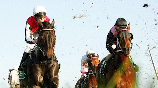 Racing returns to Taree on Tuesday.