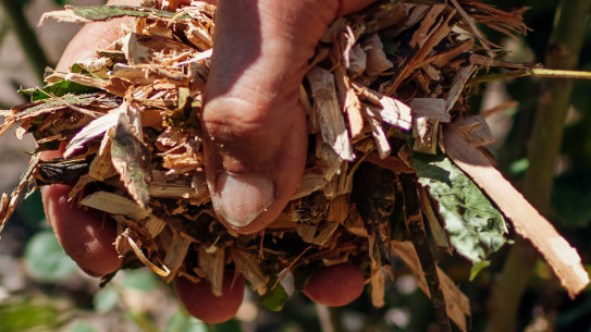 Applying mulch to your garden before you take off will stop the sun baking the soil surface.