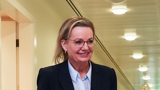 Opposition Leader Sussan Ley leaves the party room meeting alone.