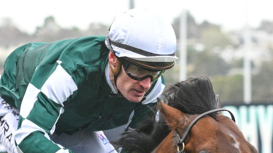 Star colt Growing Empire will represent Yulong in the Everest.