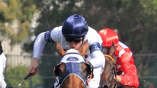 Dubbo races Monday: Paul Clisby and Maryland Bridge ready to step up
