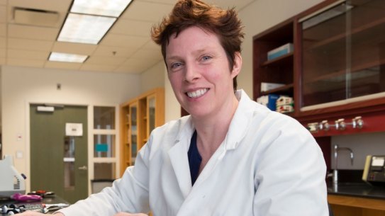 Dr Helen Dooley is testing a new COVID vaccine on sharks.