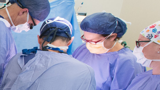 Victoria announced a major “catch-up” plan after the elective surgery waitlist soared during the pandemic. 