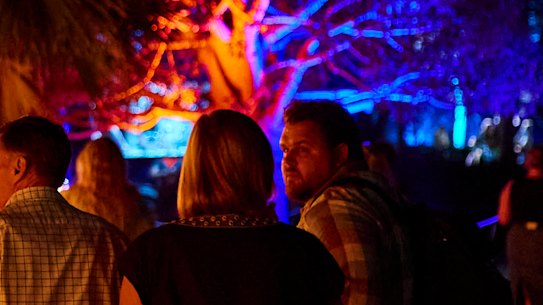 Afterglow lights up the City Botanic Gardens.