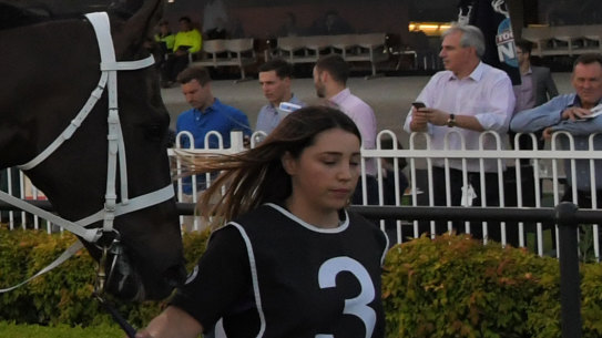 Canterbury Fridays proving to be a feast under the starlight