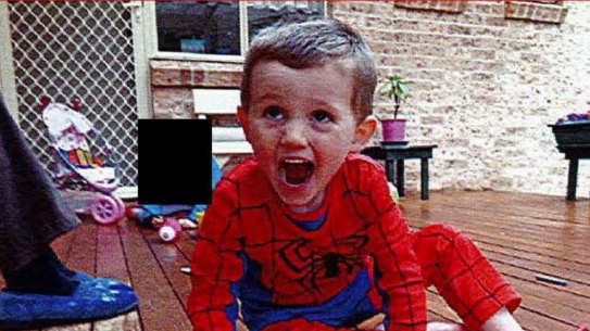 William Tyrrell disappeared in 2014.