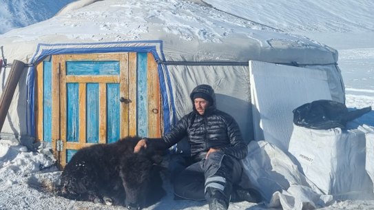 The dying yak outside the filmmakers’ Mongolian tent, or ger.
