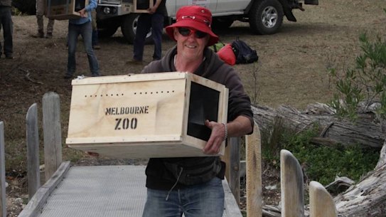 The Eastern Bristlebird was extracted in a complex rescue mission.