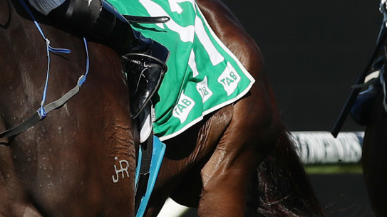 Laure Me In set to continue his winning form in the Wyong Cup on Friday