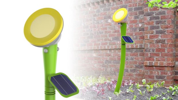 A graphic of the visual garden sensor developed by a group of Canberra entrepreneurs.