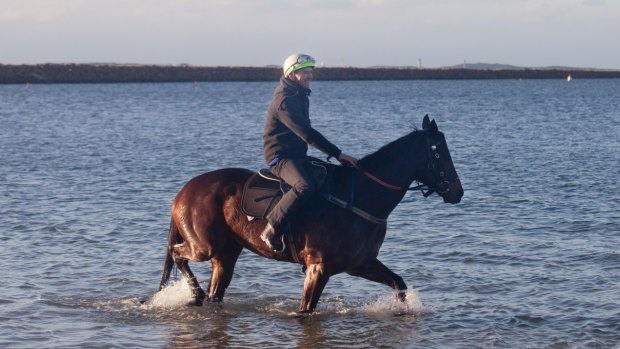 Take off: Ben Cadden rides Winx in a recovery session on Sunday. 