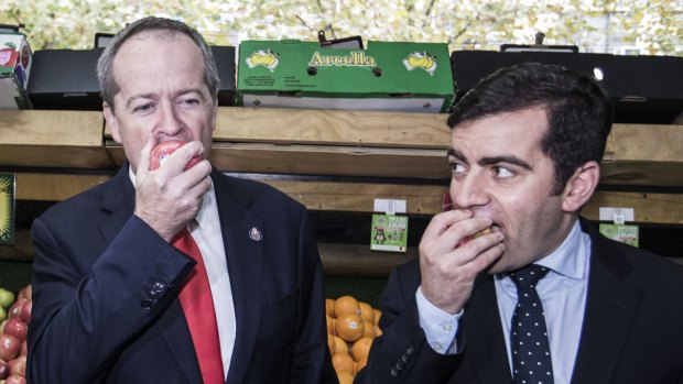 Bill Shorten is expected to appoint Sam Dastyari Leader of Opposition Business in the Senate.