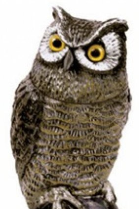 Head-swivelling electric garden owl