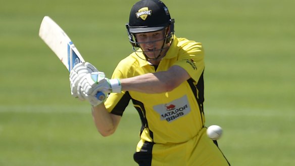 New faces herald a summer of transition for Australian cricket