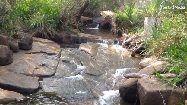 A trickling waterfall in the Perth Hills.