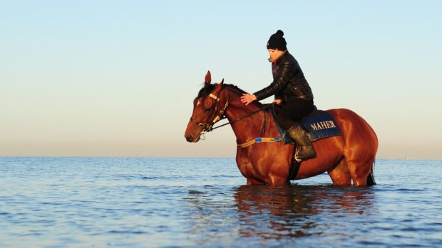 Lucy Yeomans guides Jameka during a beach workout ahead of the Caulfield Cup.