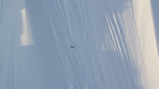 Veteran pro skier Ian McIntosh attempted a ski stunt for the film Paradise Waits that went horribly wrong - sending him plunging more than 600 metres in less than a minute, falling down the side of a near perpendicular mountain.
