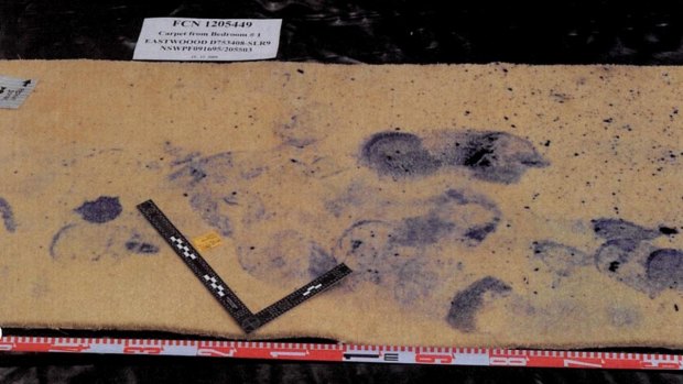 A photo of bloodied footprints found in the bedroom of victims Min and Lily Lin.